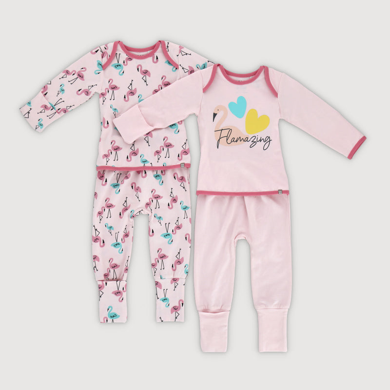 Tropical Land Baby Girl Easywear Rompers 2 Pc Bundle (Pink)
